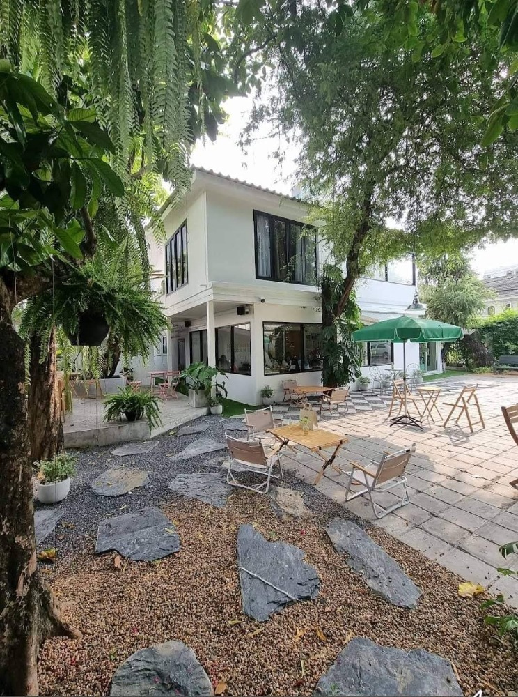 ให้เช่าบ้านอารีย์ อนุสาวรีย์ : บ้านเดี่ยว ย่าน สะพานความ อารีย์  : ใกล้ BTS สะพานควาย / เหมาะทำร้านอาหาร,