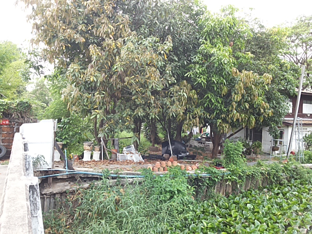 For SaleLandPattanakan, Srinakarin : Land for sale 5-1-31 rai Srinakarin Road In Soi Sridan 18, near MRT Sri Bearing BTS station. Next to Laddawan Village, Srinakarin