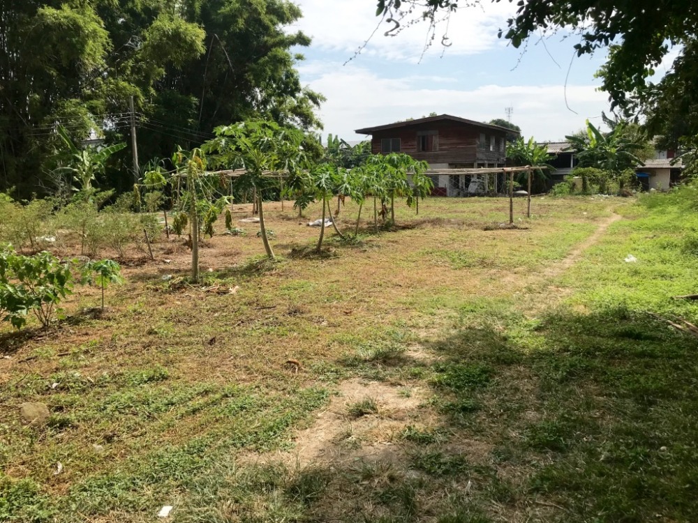 For SaleLandKaset Nawamin,Ladplakao : Land in the Ramindra area, km 8, land area 508 sq m, already filled, near the Pink Line MRT Khubon Station.