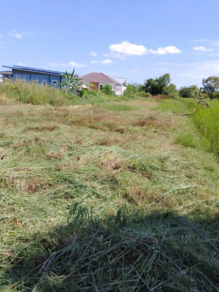 For SaleLandKhon Kaen : Ban Nong Lup land Near the bypass road Khon Kaen Airport, area 1 rai 1 ngan 89 square wah, selling the whole plot, land already surveyed, price 2.5 million baht, free transfer.
