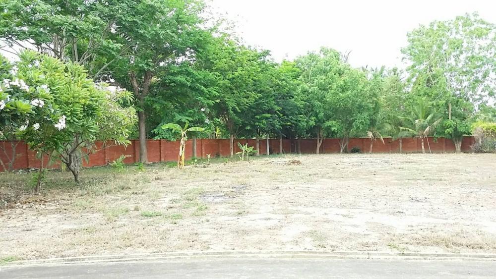 For SaleHouseCha-am Phetchaburi : Single-storey detached house for sale, area 3 rai, well fenced, with concrete road on 2 sides, near Puktian Beach and Cha-am Beach. The house is located in Nong Chok Subdistrict, Tha Yang District, Phetchaburi Province.