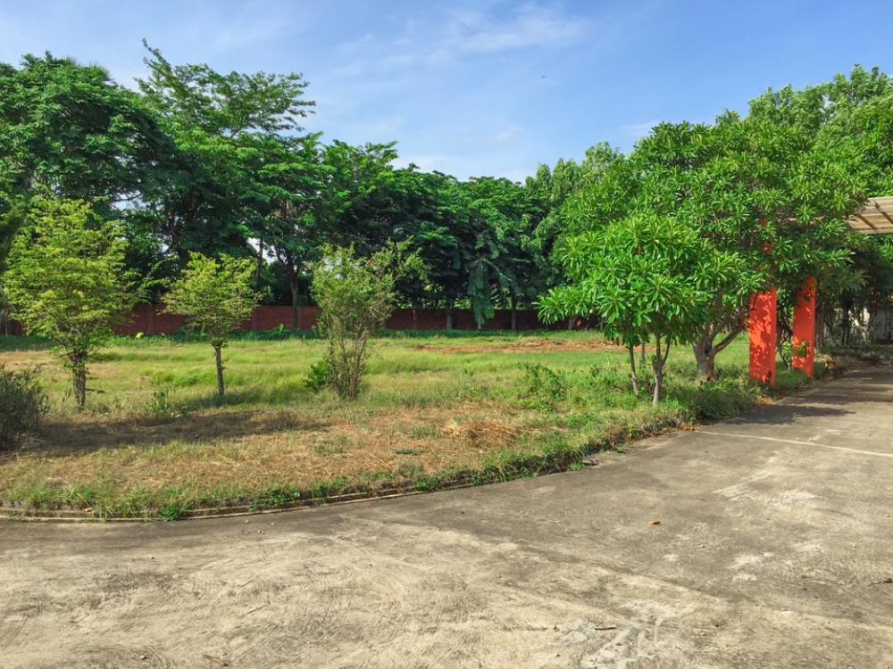 For SaleHouseCha-am Phetchaburi : Single-storey detached house for sale, area 3 rai, well fenced, with concrete road on 2 sides, near Puktian Beach and Cha-am Beach. The house is located in Nong Chok Subdistrict, Tha Yang District, Phetchaburi Province.