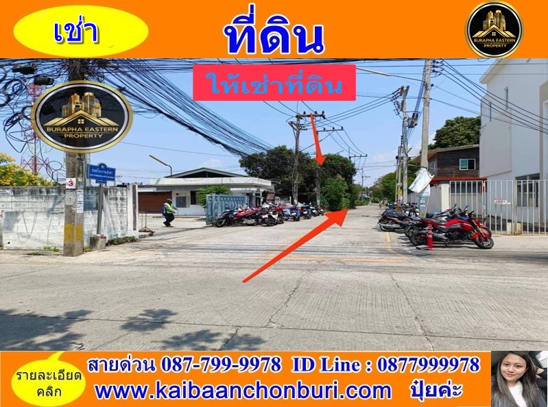 ให้เช่าที่ดินพัทยา บางแสน ชลบุรี สัตหีบ : ให้เช่าที่ดินพร้อมสิ่งปลูกสร้าง ในซอยโรงงานตุ๊กตา ต.เสม็ด อ.เมือง จ.ชลบุรี