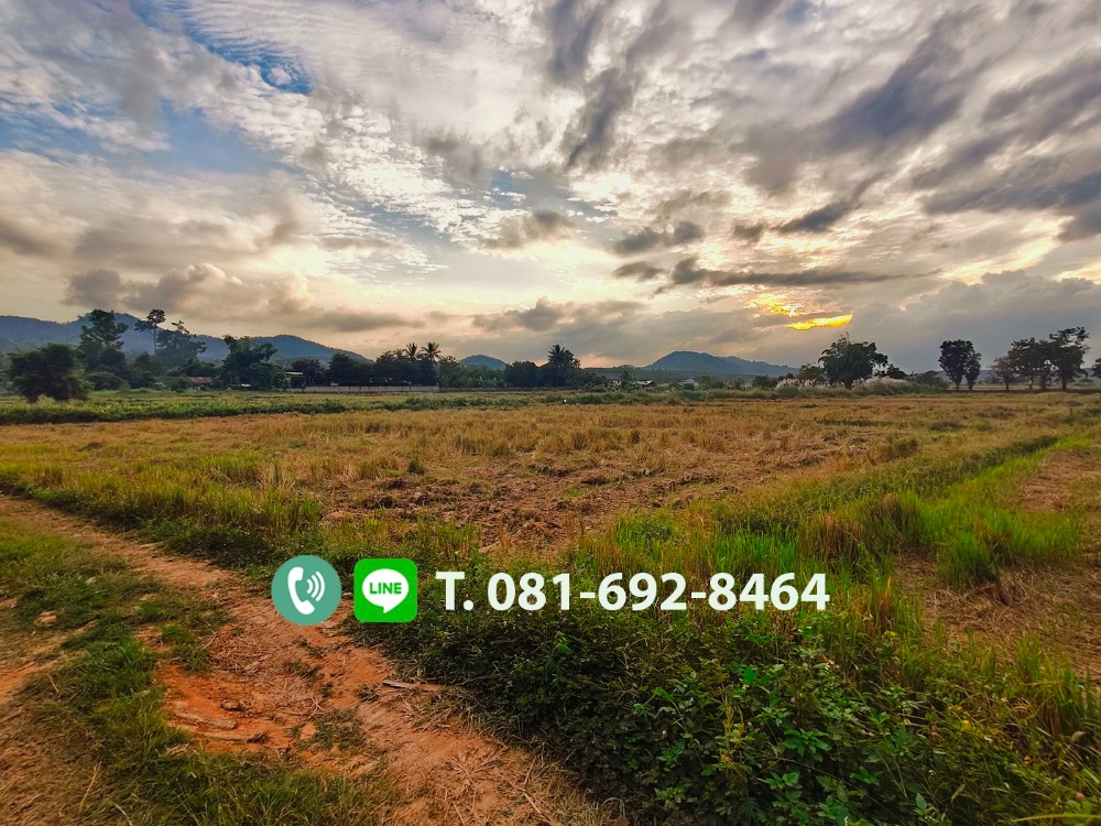 For SaleLandChiang Rai : Land for sale 4-0-26 rai, Mae Chan District, Chiang Rai Province, hill view, good atmosphere, 550,000 baht./rai, convenient, located in a community area.