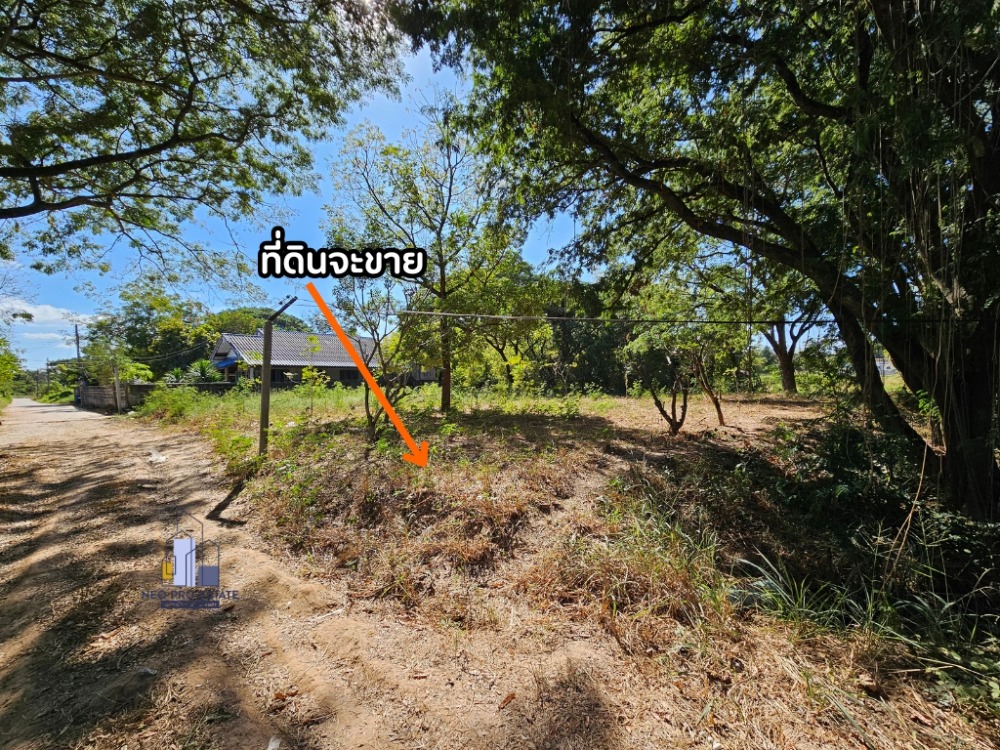 ขายที่ดินขอนแก่น : ขายที่ดิน 208ตารางวา ติดห้วยพระคือ ใกล้บึงทุ่งสร้าง ถมดินแล้ว น้ำประปา ไฟฟ้าถึง มีเพื่อนบ้านหลายหลัง