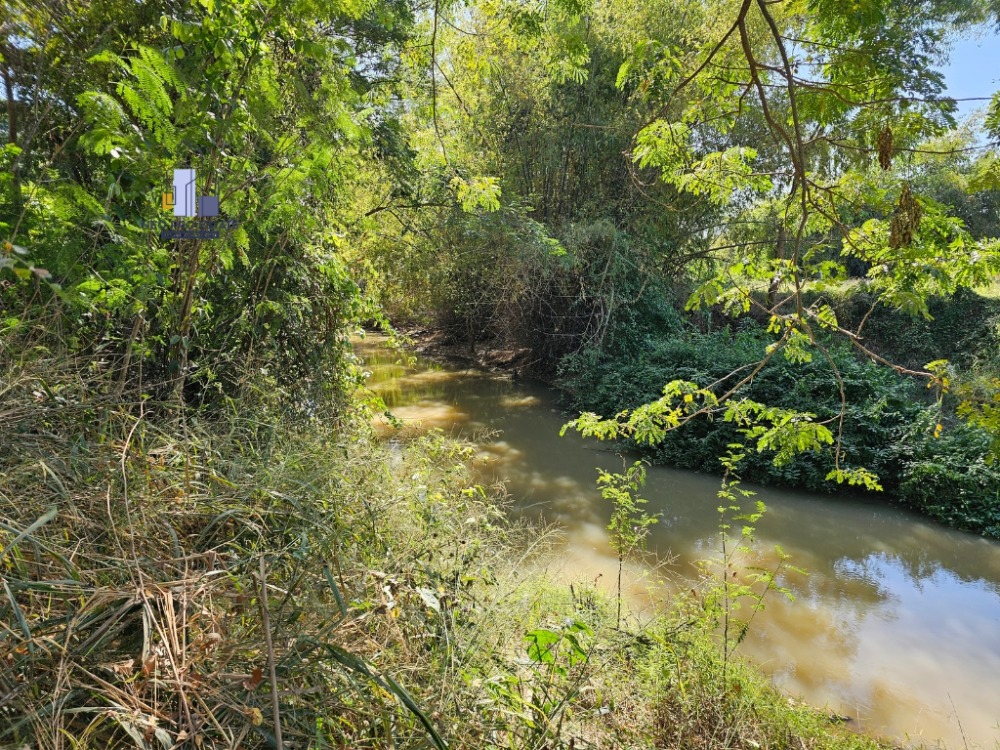 ขายที่ดินขอนแก่น : ขายที่ดิน 208ตารางวา ติดห้วยพระคือ ใกล้บึงทุ่งสร้าง ถมดินแล้ว น้ำประปา ไฟฟ้าถึง มีเพื่อนบ้านหลายหลัง