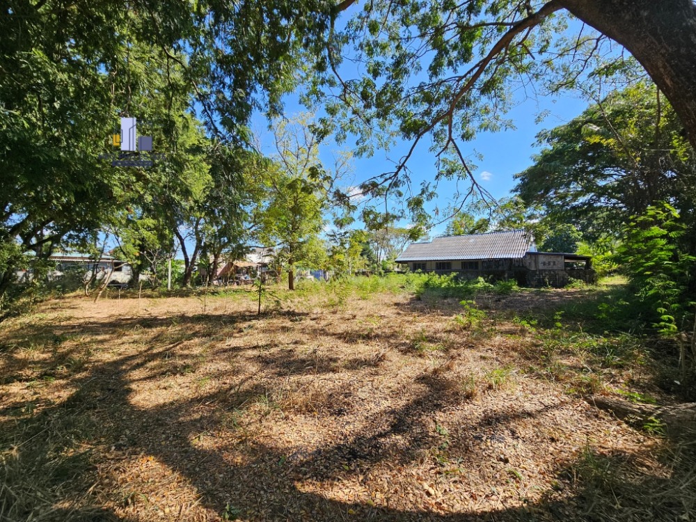 ขายที่ดินขอนแก่น : ขายที่ดิน 208ตารางวา ติดห้วยพระคือ ใกล้บึงทุ่งสร้าง ถมดินแล้ว น้ำประปา ไฟฟ้าถึง มีเพื่อนบ้านหลายหลัง