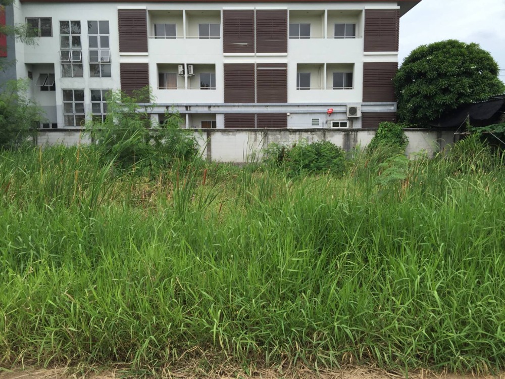 For SaleLandSamut Prakan,Samrong : King Kaeo land for sale King Kaew Road Soi 19/1