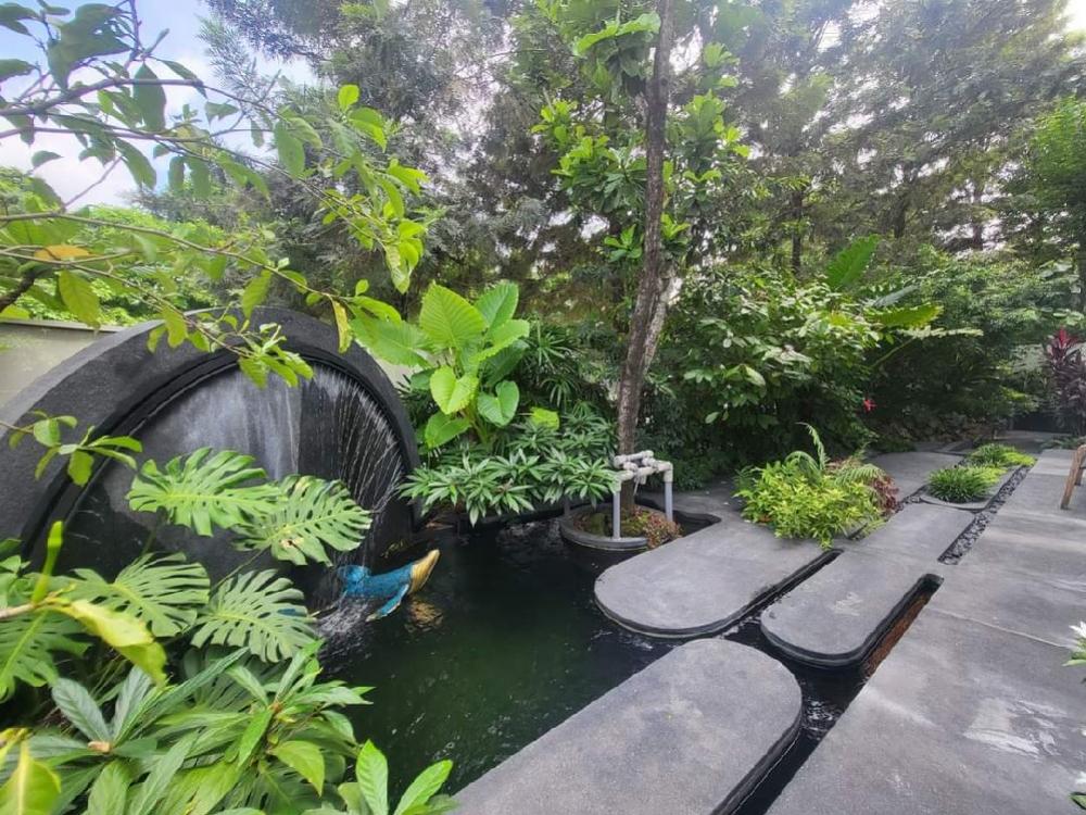 ขายบ้านเลียบทางด่วนรามอินทรา : ขายบ้านเดี่ยวโครงการ Vive เอกมัย-รามอินทราType ใหญ่ ติดสวนวิวสวย