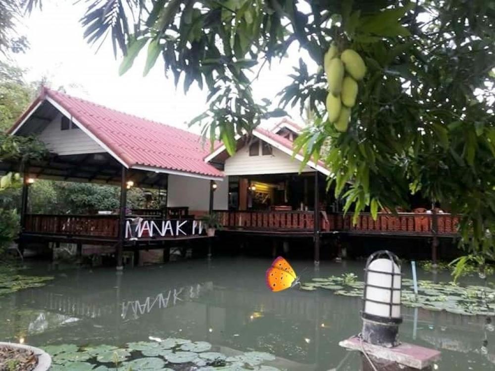 For RentHouseNakhon Pathom : For rent, suitable for doing house business in the garden. 100 sq m. has a fish pond, shrimp fishing pond, Bang Len District.