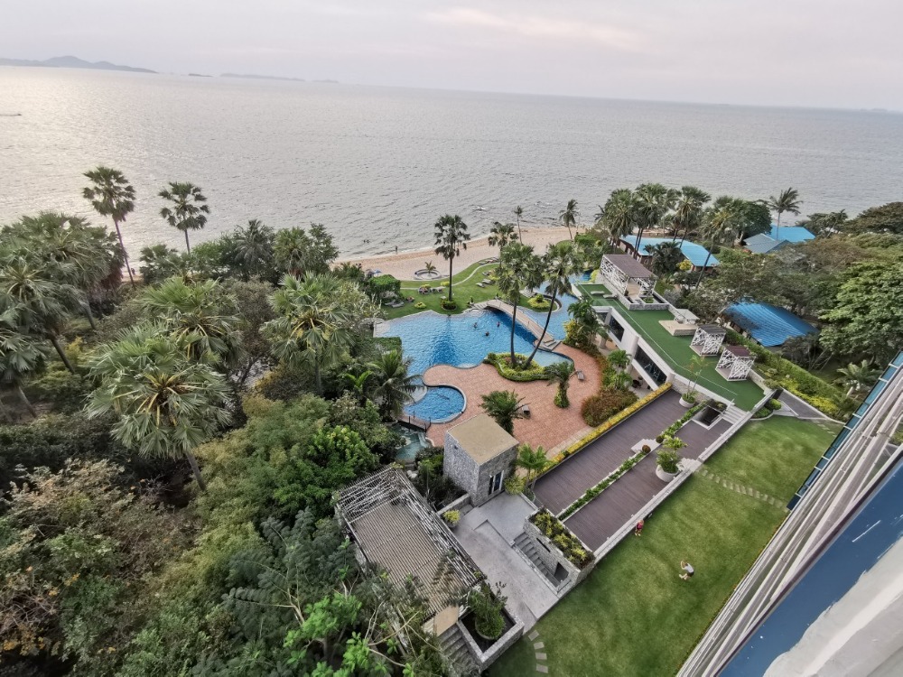 ขายคอนโดพัทยา บางแสน ชลบุรี สัตหีบ : For sale condo The Palm wongamat beach 2 beds direct Sea view sunset (S03-0540)