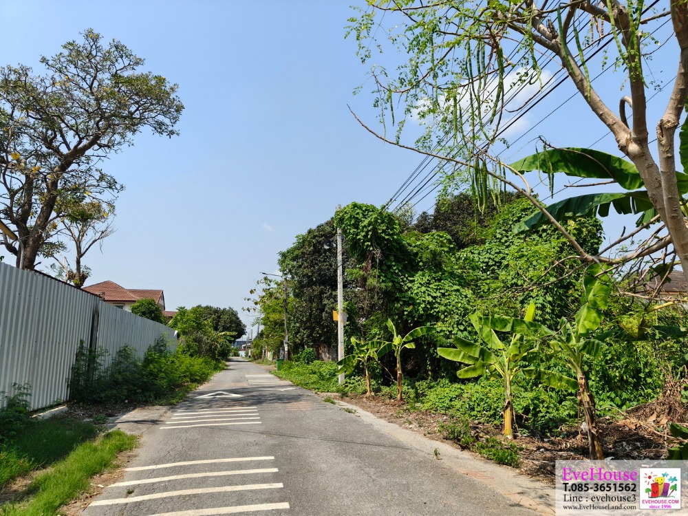 For SaleLandPhutthamonthon, Salaya : Land for sale 200 sq.wa. Phuttamonthon sai 3, very good price 19,000 baht./sq.wa.