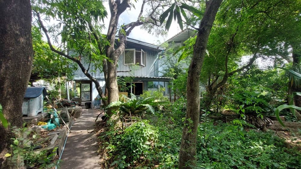 ขายที่ดินพระราม 3 สาธุประดิษฐ์ : ขายที่ดินวัดไผ่เงินโชตนาราม เขตยานนาวา ที่ดินสวย (N.663)