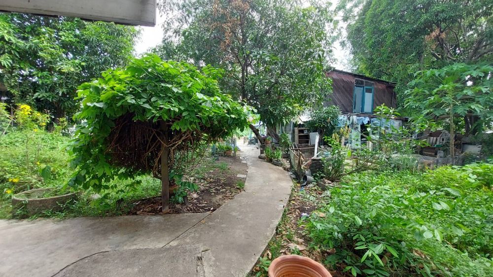 ขายที่ดินพระราม 3 สาธุประดิษฐ์ : ขายที่ดินวัดไผ่เงินโชตนาราม เขตยานนาวา ที่ดินสวย (N.663)