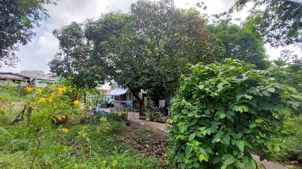 ขายที่ดินพระราม 3 สาธุประดิษฐ์ : ขายที่ดินวัดไผ่เงินโชตนาราม เขตยานนาวา ที่ดินสวย (N.663)