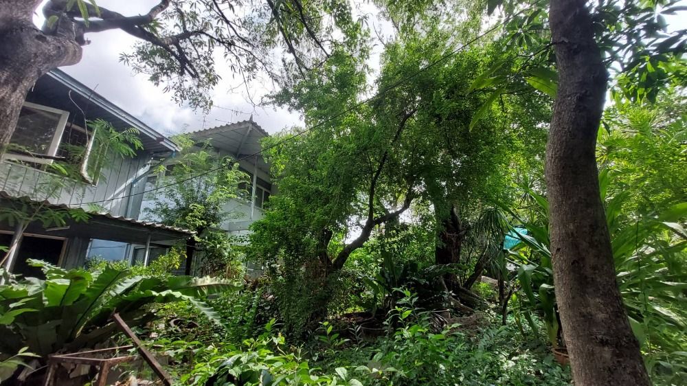 ขายที่ดินพระราม 3 สาธุประดิษฐ์ : ขายที่ดินวัดไผ่เงินโชตนาราม เขตยานนาวา ที่ดินสวย (N.663)