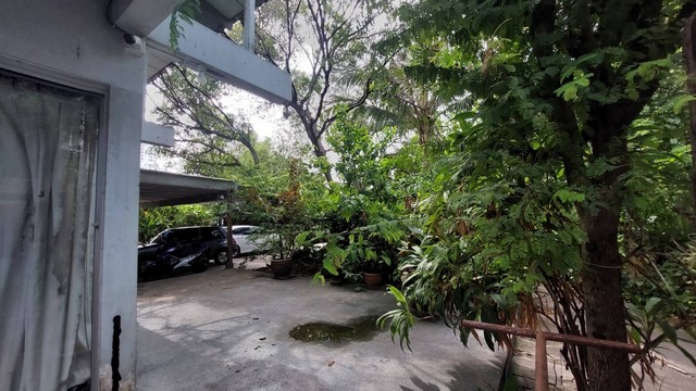 ขายที่ดินพระราม 3 สาธุประดิษฐ์ : ขายที่ดินวัดไผ่เงินโชตนาราม เขตยานนาวา ที่ดินสวย (N.663)