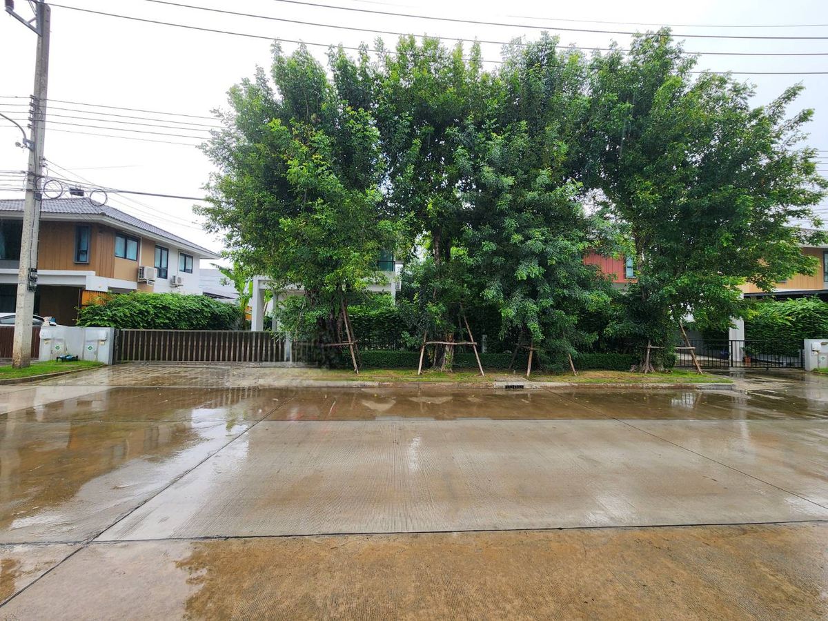 ให้เช่าบ้านปทุมธานี รังสิต ธรรมศาสตร์ : ให้เช่าบ้านแฝด คณาสิริ วงแหวน - ลำลูกกา ใกล้ มาร์เก็ตวิลเลจ รังสิต เพียง 8 นาที