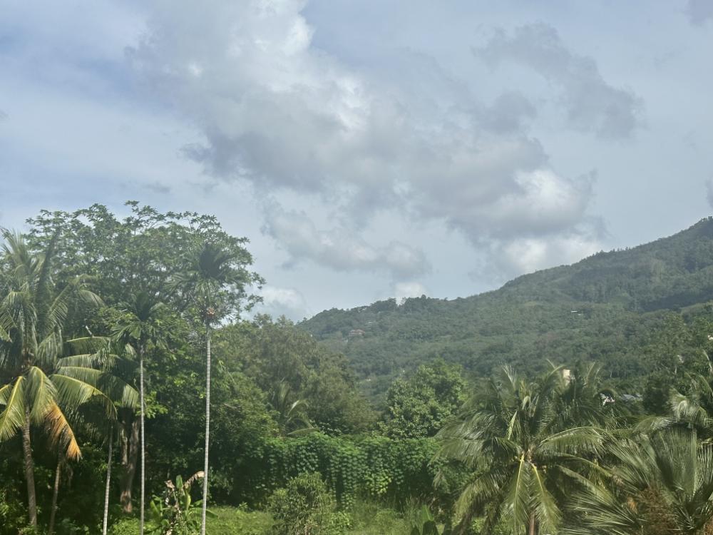 ขายคอนโดภูเก็ต : ขาย สายรุ้ง เรสซิเดนซ์ ป่าตอง ภูเก็ต3ห้องนอน 2ห้องนำ้ ระเบียงกว้างวิวสระว่ายน้ำ