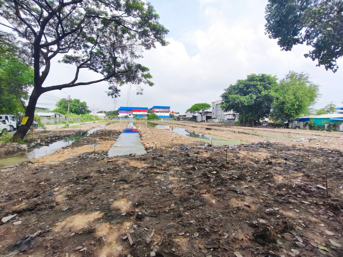 For SaleLandPattanakan, Srinakarin : Land for Sale in Krung Thep Kritha 1,995 Sq.w