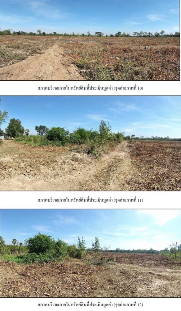 ขายที่ดินโคราช นครราชสีมา : ขายที่ดิน 34 ไร่ 3 งาน 45 ตารางวา ถ.ทางหลวงแผ่นดินสายวังหิน-หนองนาดำ  ต.รังกาใหญ่  อ.พิมาย  นครราชสีมา