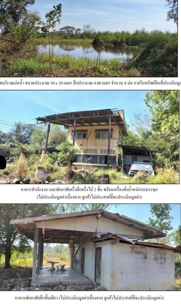 ขายที่ดินโคราช นครราชสีมา : ขายที่ดิน 34 ไร่ 3 งาน 45 ตารางวา ถ.ทางหลวงแผ่นดินสายวังหิน-หนองนาดำ  ต.รังกาใหญ่  อ.พิมาย  นครราชสีมา