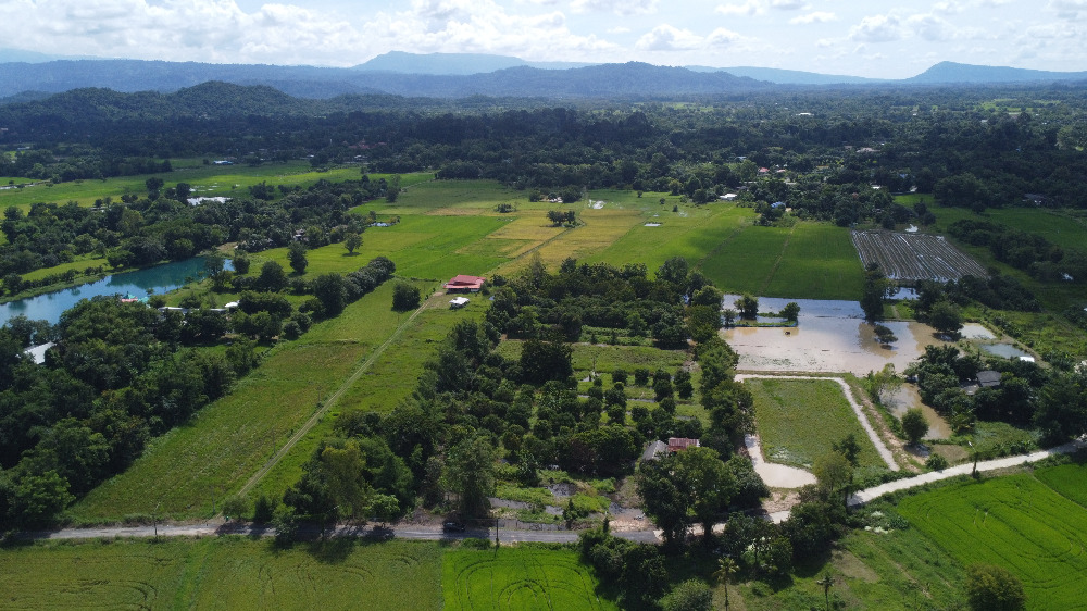 ขายที่ดินนครนายก : ที่ดินนครนายก โซนสาริกา 9-2-64 ไร่ เป็นสวนผลไม้ มะยงชิด มะม่วง กระท้อน มีไฟฟ้า ประปา ติดถนนคอนกรีต ใกล้แหล่งท่องเที่ยว