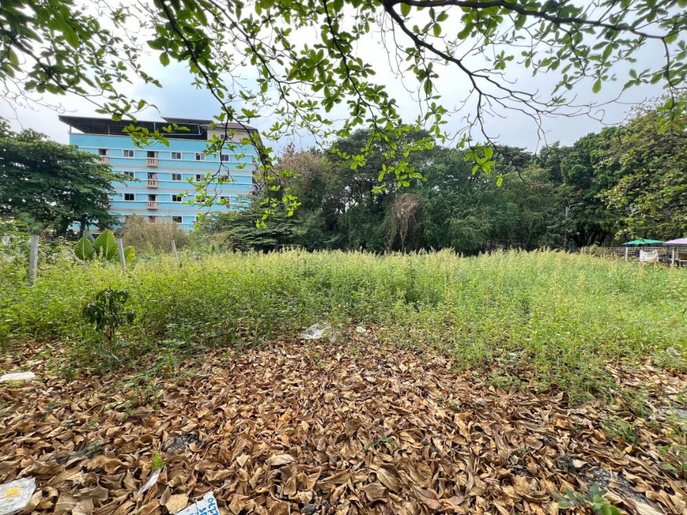 For SaleLandChaengwatana, Muangthong : Land Ngamwongwan 31 / (Sale), land Ngamwongwan 31 / (SALE) GAMET401