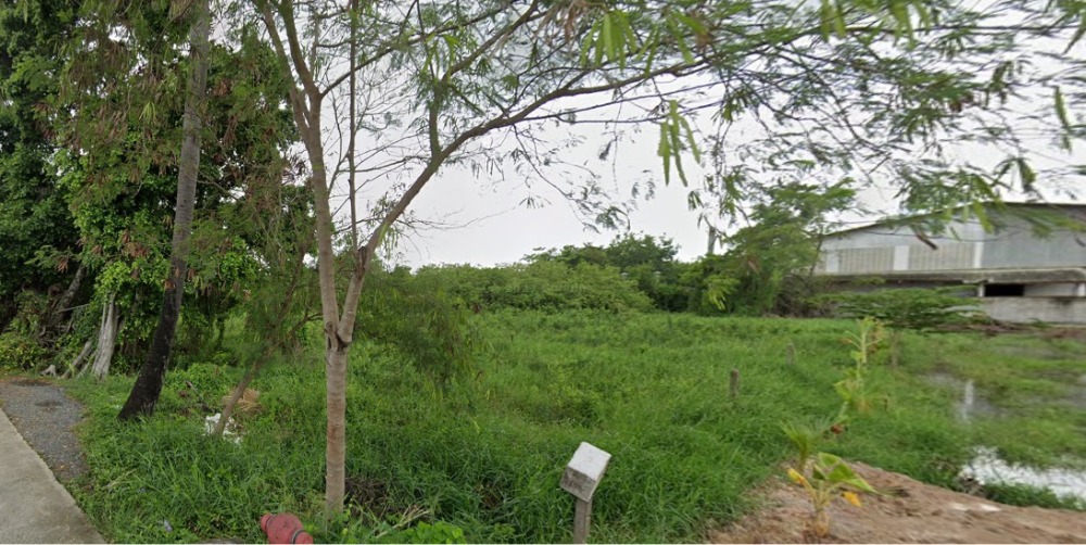 For SaleLandMin Buri, Romklao : Land for sale, Soi Chuam Samphan 25, Nong Chok, size 2 rai 1 ngan, 16,500 baht per square wa, or approximately 15 million.