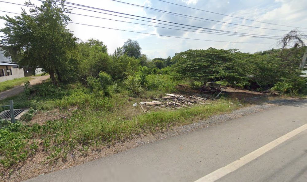 For SaleLandPathum Thani,Rangsit, Thammasat : Land for sale, 288 sq m., next to Khlong 11 Road, west side, Nong Suea, Pathum Thani, near the Pathum Thani-Ayutthaya highway.