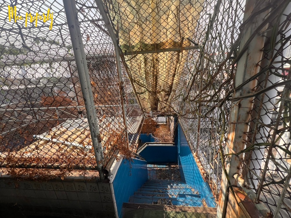 ขายอาคารพาณิชย์พระราม 3 สาธุประดิษฐ์ : ขายด่วนอาคารพาณิชย์ ทำเลดี!! 3 คูหา 5 ชั้น ถนนจันทน์ซอย 16 แยก 6 ใกล้สถานีรถไฟฟ้าหลายสาย ME-136