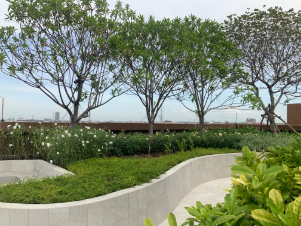 ให้เช่าคอนโดปทุมธานี รังสิต ธรรมศาสตร์ : ให้เช่า Kave Town Colony วิวสระ ตึกD ชั้น 6, ติด ม.กรุงเทพรังสิต พร้อมส่วนกลางทันสมัยกว่า 40 รายการ