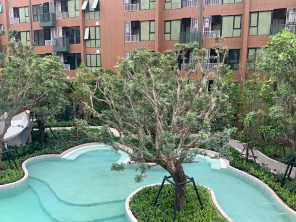 ให้เช่าคอนโดปทุมธานี รังสิต ธรรมศาสตร์ : ให้เช่า Kave Town Colony วิวสระ ตึกD ชั้น 6, ติด ม.กรุงเทพรังสิต พร้อมส่วนกลางทันสมัยกว่า 40 รายการ