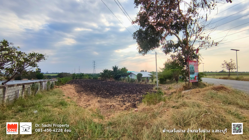 ขายที่ดินสระบุรี : ขายที่ดิน 2 ไร่ บ้านวังม่วง ใกล้เขื่อนป่าสัก อ.วังม่วง จ.สระบุรี