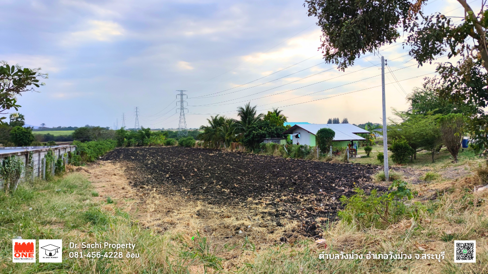 ขายที่ดินสระบุรี : ขายที่ดิน 2 ไร่ บ้านวังม่วง ใกล้เขื่อนป่าสัก อ.วังม่วง จ.สระบุรี