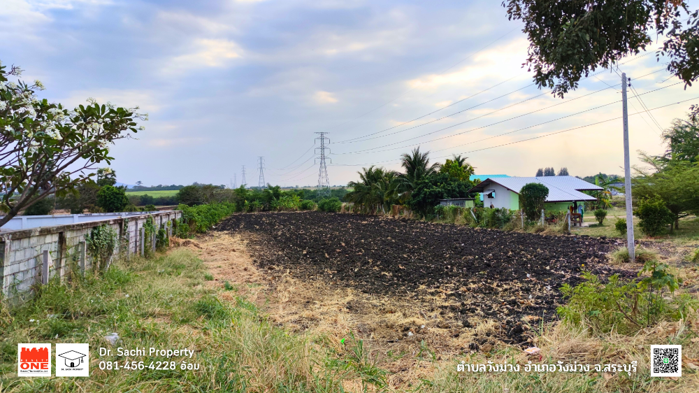 ขายที่ดินสระบุรี : ขายที่ดิน 2 ไร่ บ้านวังม่วง ใกล้เขื่อนป่าสัก อ.วังม่วง จ.สระบุรี