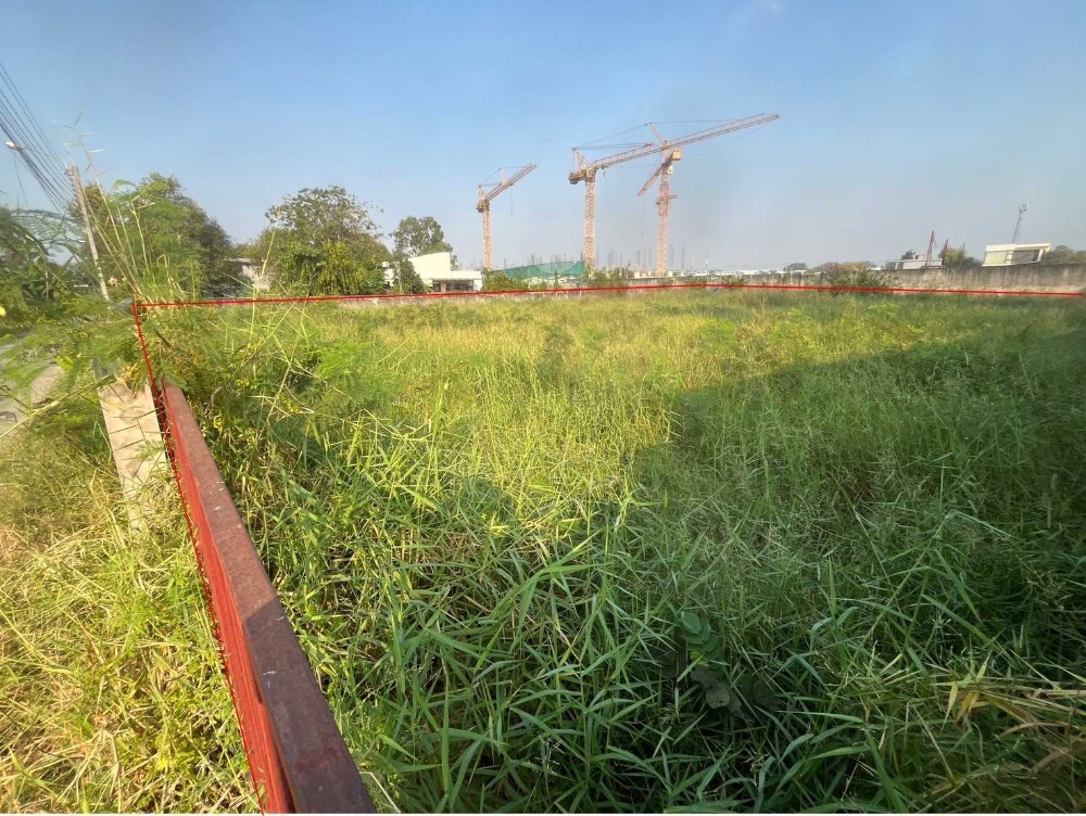 For SaleLandKasetsart, Ratchayothin : L080793 Empty land for sale, area 1 rai 71 sq m, Soi Ramintra 19, Bangkok.