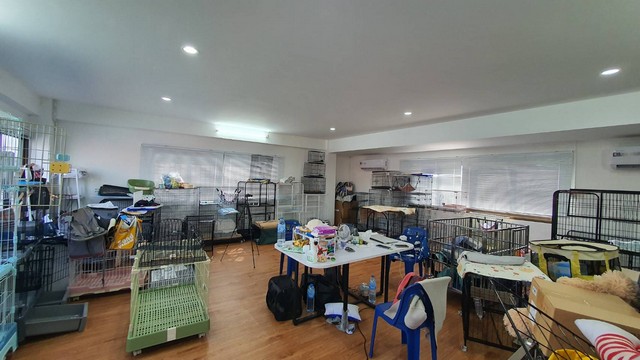 For SaleWarehouseSamut Prakan,Samrong : Warehouse for sale & 3-story office building, area 180 sq m., usable area approximately 950 sq m., Soi Phraeksa 31, Phraeksa, Mueang Samut Prakan, road width 16 meters.