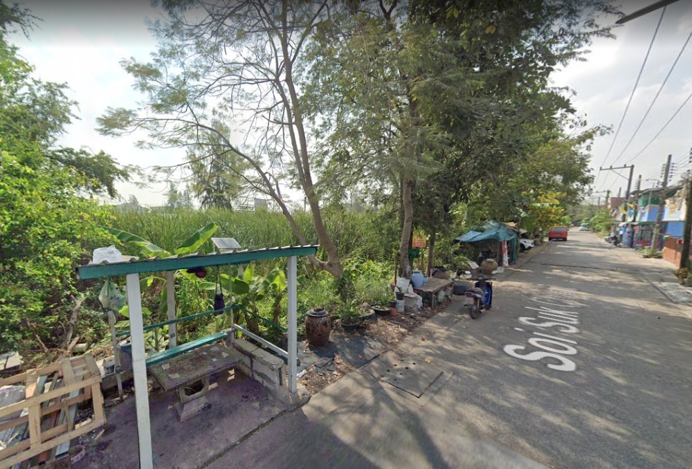 For SaleLandPathum Thani,Rangsit, Thammasat : Beautiful Pathum Thani Land for sale 240 square wah
