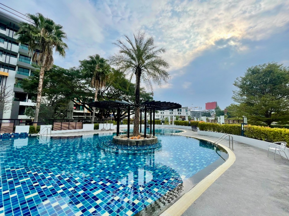 ให้เช่าคอนโดเชียงใหม่ : For rent  Punna Oasis   1 Bedroom type size 45 SQM.