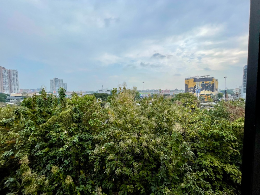 ให้เช่าคอนโดเชียงใหม่ : For rent  Punna Oasis   1 Bedroom type size 45 SQM.