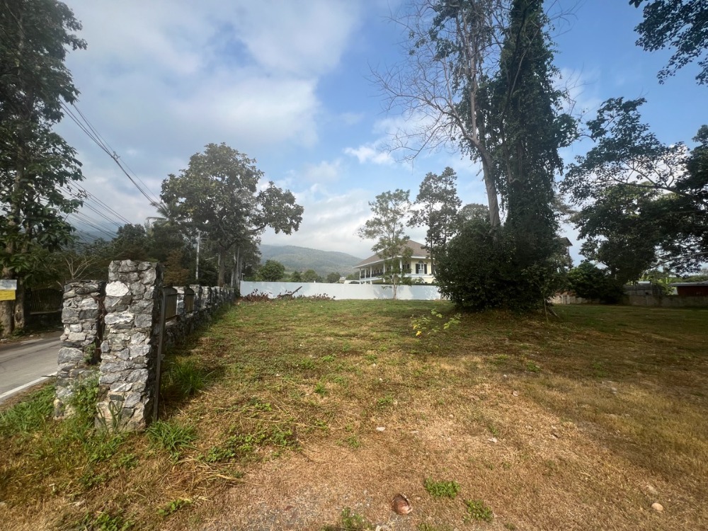 For SaleLandChiang Mai : RARE OPPORTUNITY…. prime site in the prestigious Chang Kian area. (LAND142)