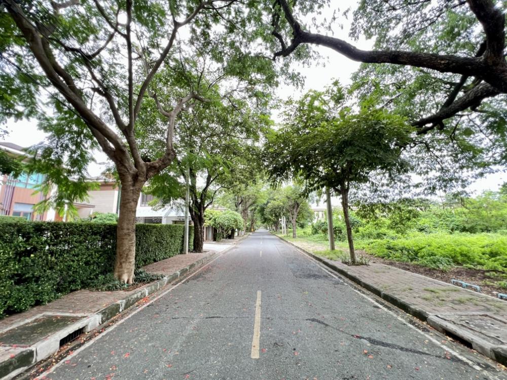 For SaleLandNawamin, Ramindra : Land for sale already filled in Navathani project, 400 square meters.