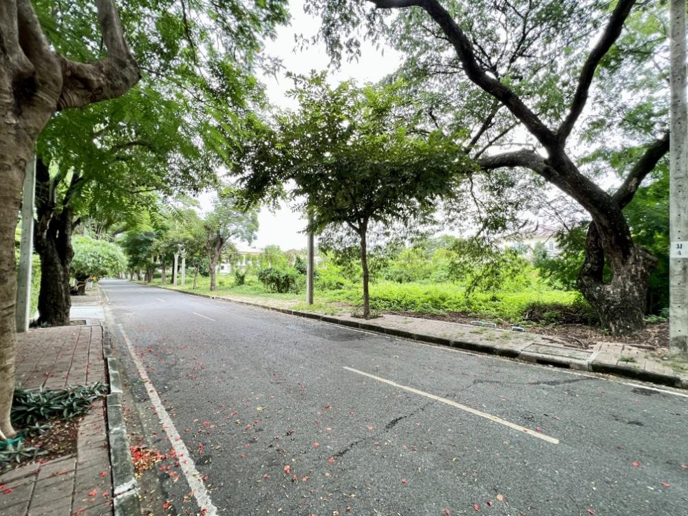 For SaleLandNawamin, Ramindra : Land for sale already filled in Navathani project, 400 square meters.