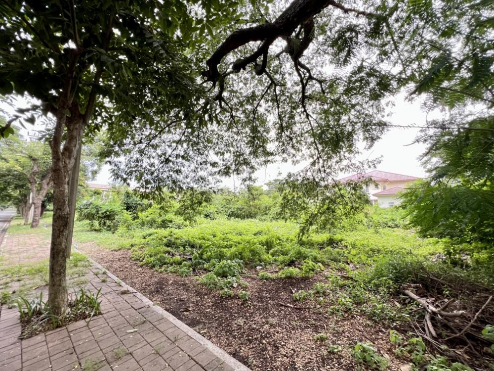 For SaleLandNawamin, Ramindra : Land for sale already filled in Navathani project, 400 square meters.