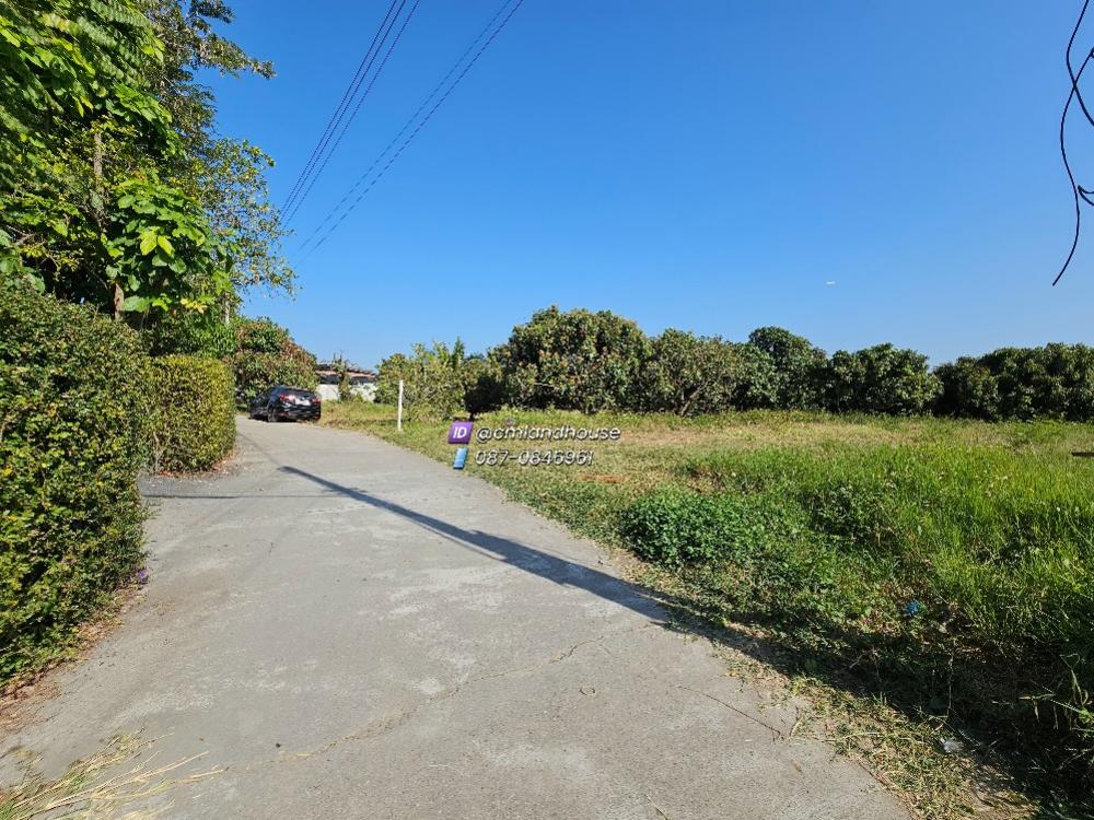 For SaleLandChiang Mai : Land 100 sq m., near Khun Khong Subdistrict Administrative Organization, 500 m., near Baan Tawai, near Kad Farang, near Jungle de Cafe, only 15 km to the airport.