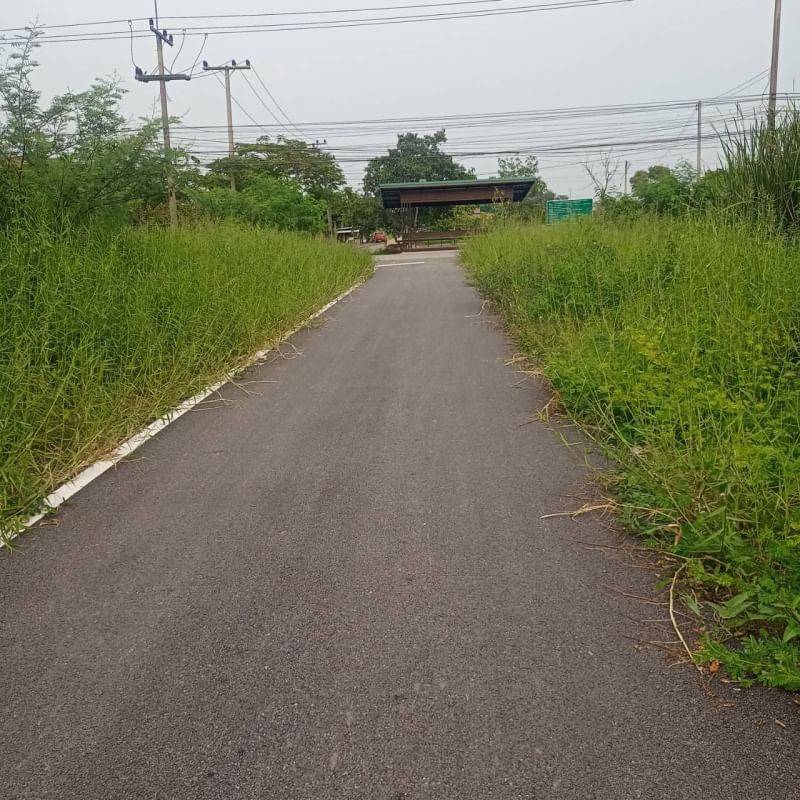 For SaleLandPathum Thani,Rangsit, Thammasat : Land for sale in Khlong Luang Thanyaburi Khlong Hok, Khlong Hok 21, Khlong Luang, Pathum Thani, near temple, Thanyaburi Shrine, gas station, bank, school, university, hospital, Kanchanaphisek Expressway. Don Mueang Airport mall