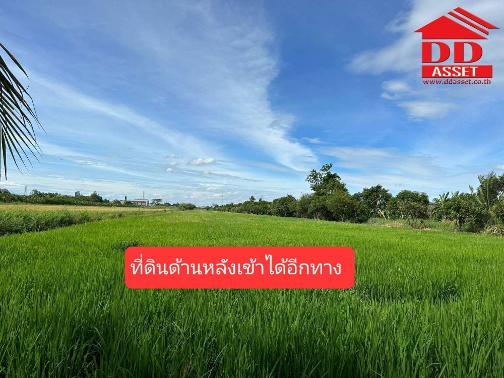 ขายที่ดินนนทบุรี บางใหญ่ บางบัวทอง : ขายที่ดินติดถนน บางกรวย-ไทรน้อย นนทบุรี ใกล้บิ๊กซีไทรน้อย  รหัส L8006