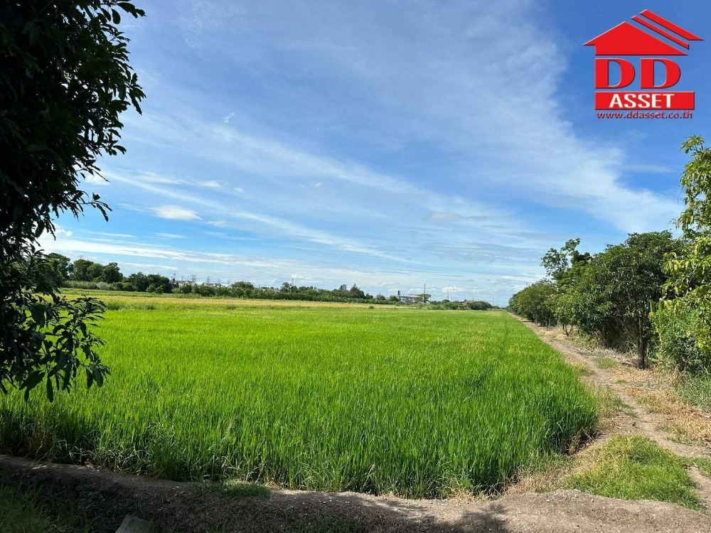 ขายที่ดินนนทบุรี บางใหญ่ บางบัวทอง : ขายที่ดินติดถนน บางกรวย-ไทรน้อย นนทบุรี ใกล้บิ๊กซีไทรน้อย  รหัส L8006