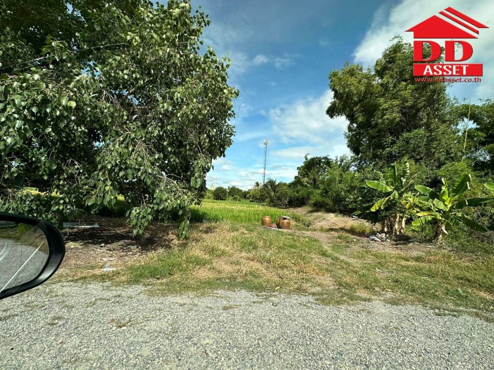 ขายที่ดินนนทบุรี บางใหญ่ บางบัวทอง : ขายที่ดินติดถนน บางกรวย-ไทรน้อย นนทบุรี ใกล้บิ๊กซีไทรน้อย  รหัส L8006